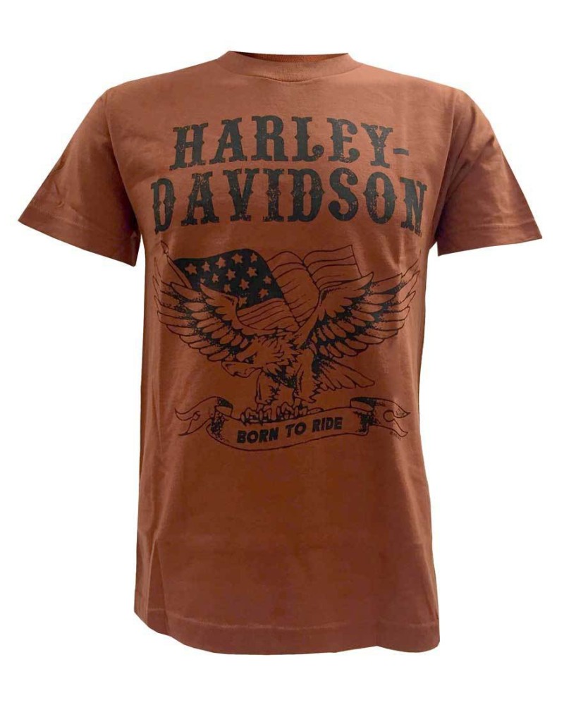 Harley Davidson Homme Born To Ride Eagle Manches Courtes Graphic T-Shirt, Orange