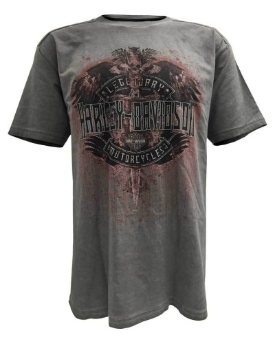Harley Davidson Homme Distressed Ghosted Legend T-Shirt Manches Courtes, Charcoal