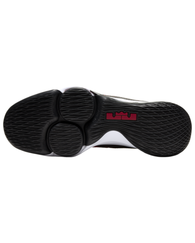 Baskets Nike LeBron Witness 4  Hommes 7427-002