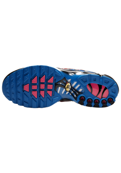 Baskets Nike Air Max Plus  Hommes T1618-400