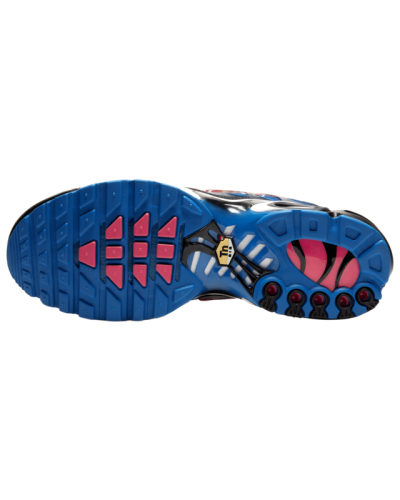 Baskets Nike Air Max Plus  Hommes T1618-400