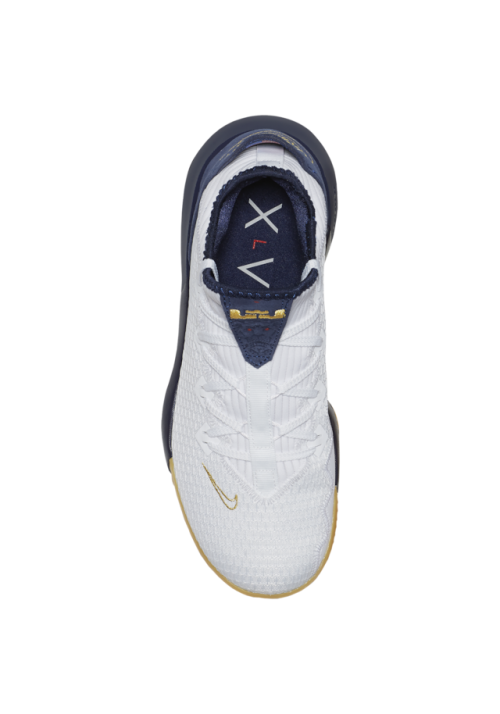 Baskets Nike LeBron 16 Low CP  Hommes 2668-101