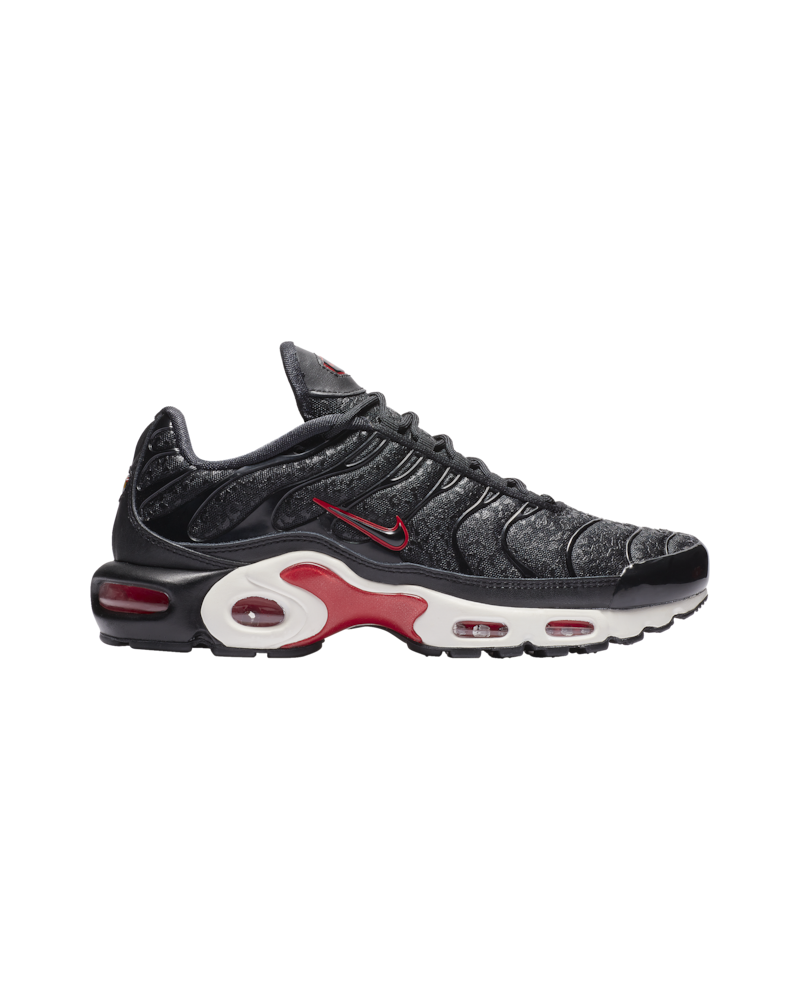 Chaussures de sport Nike Air Max Plus Premium Femme V6116-001