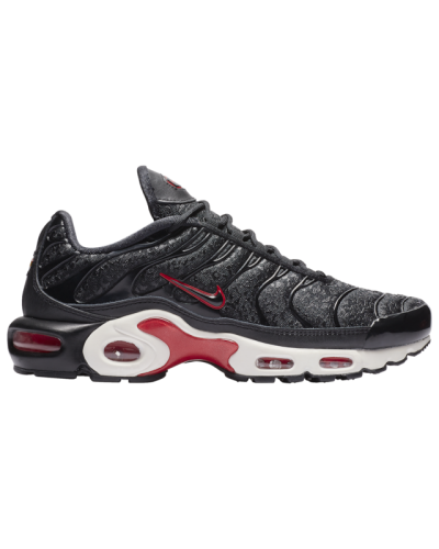 Chaussures de sport Nike Air Max Plus Premium Femme V6116-001