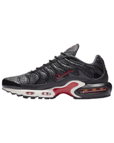 Chaussures de sport Nike Air Max Plus Premium Femme V6116-001