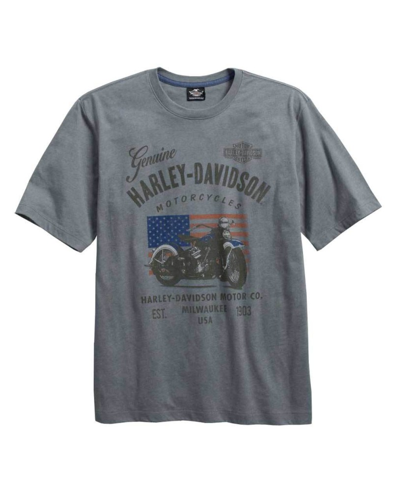 Harley Davidson Homme Model Name T-Shirt Manches Courtes, Gris 96161-16VM