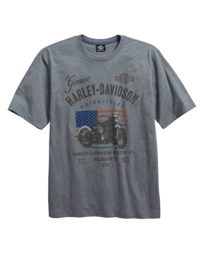 Harley Davidson Homme Model Name T-Shirt Manches Courtes, Gris 96161-16VM