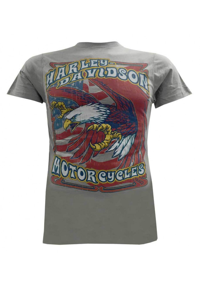 Harley Davidson Homme T-Shirt, Colorful Eagle Descending Tee, Gris