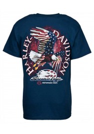 Harley Davidson Homme Eagle Stars and Strips Bleu T-Shirt HARLMT0175