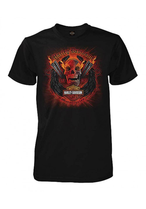 Harley Davidson Homme Explosive Winged Skull T-Shirt Manches Courtes, Noir