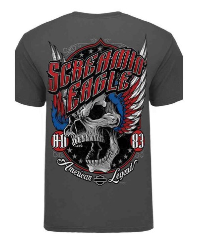 Harley Davidson Homme Eagle American Wings T-Shirt, Gris HARLMT0238