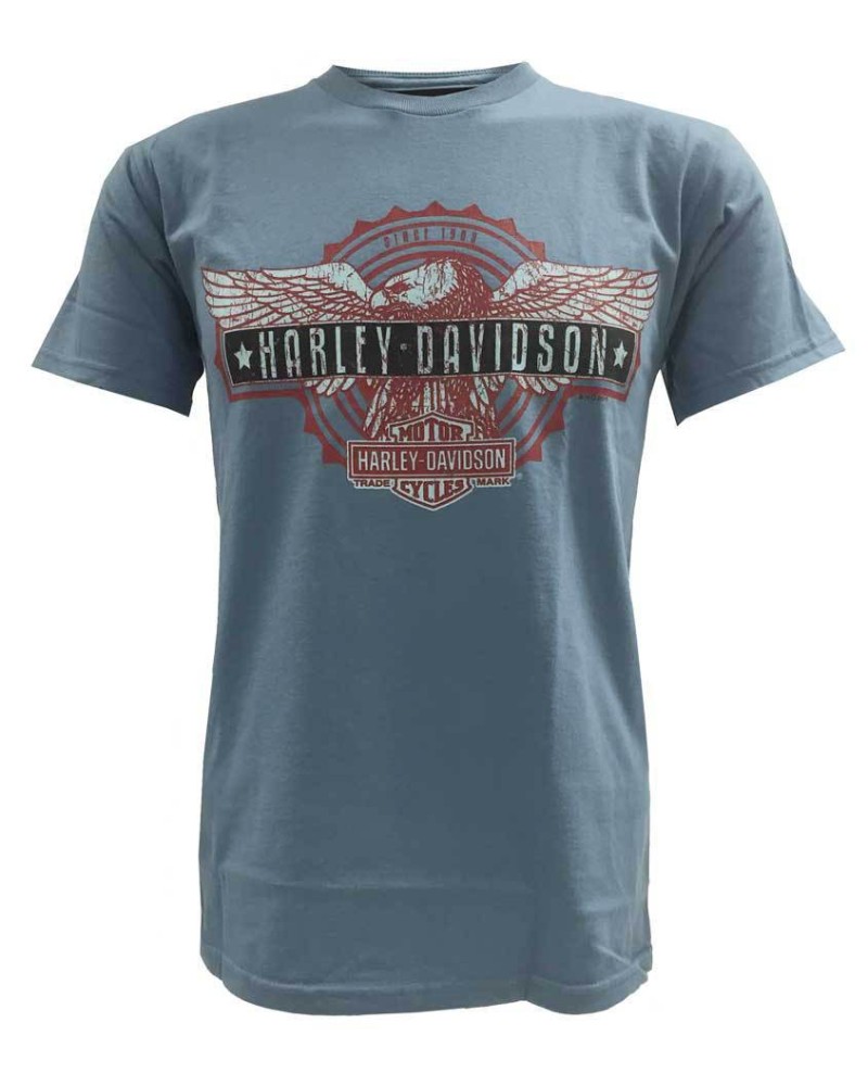 Harley Davidson Homme T-Shirt Manches Courtes, Patriotic Eagle Bar Graphic, Bleu