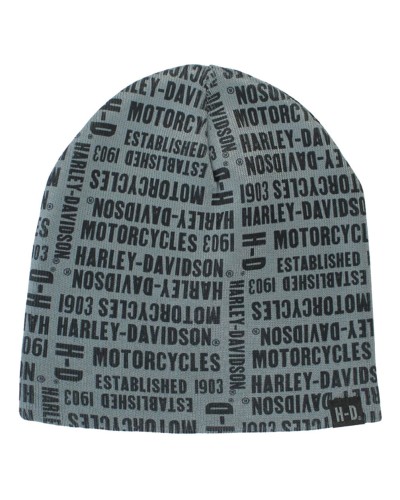 Harley Davidson Homme  H-D Text Bonnet Gris KN19180