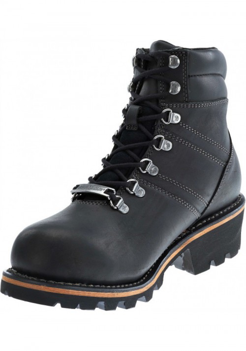 Chaussures / Bottes Harley Davidson Ladson Waterproof Moto Hommes   D96107
