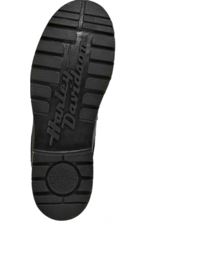 Chaussures / Bottes Harley Davidson Badlands Moto Hommes  D91005