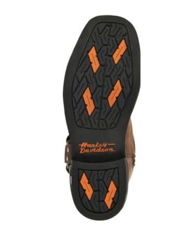 Chaussures / Bottes Harley Davidson Landon Marron Moto Hommes  D96051