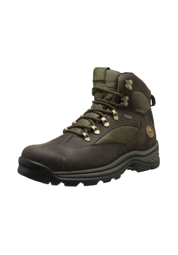 Timberland Chocorua Trail Gore-Tex Mid Bottes Homme