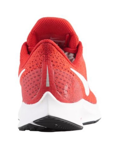 Basket Nike Air Zoom Pegasus 35 Femme 3906-601