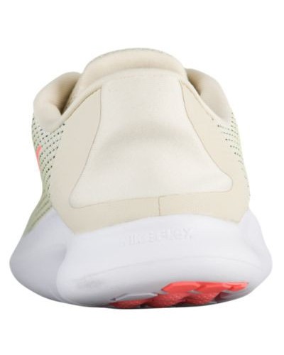 Basket Nike Flex Run 2018 Femme 2676-200