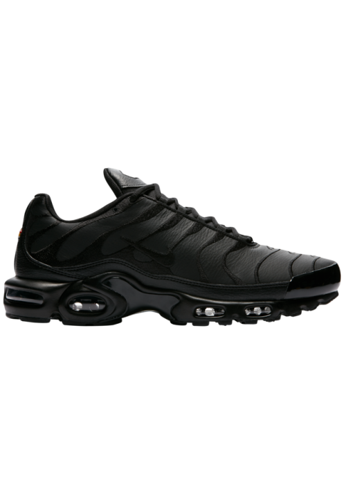 Baskets Nike Air Max Plus  Hommes J2029-001