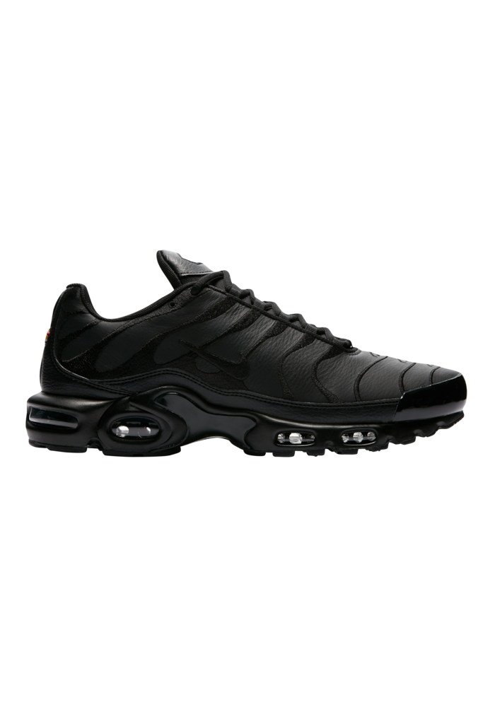 Baskets Nike Air Max Plus Hommes J2029-001