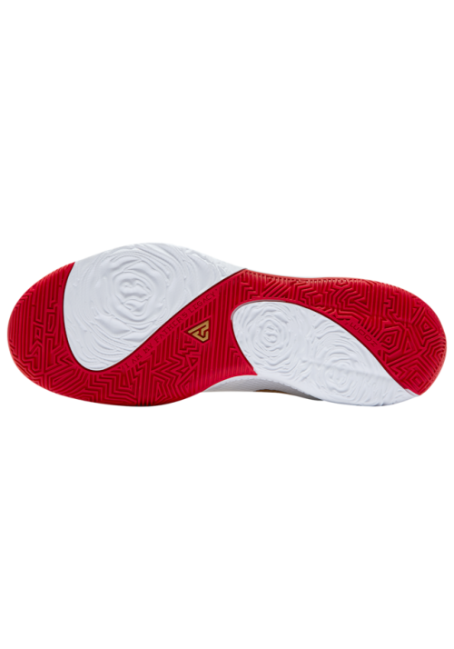 Baskets Nike Zoom Freak 1  Hommes 5422-100