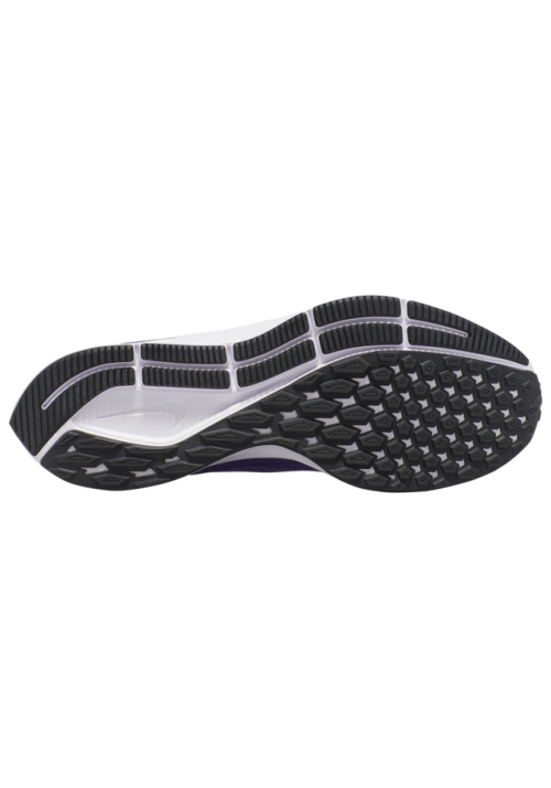 Baskets Nike Air Zoom Pegasus 36  Hommes V1773-500