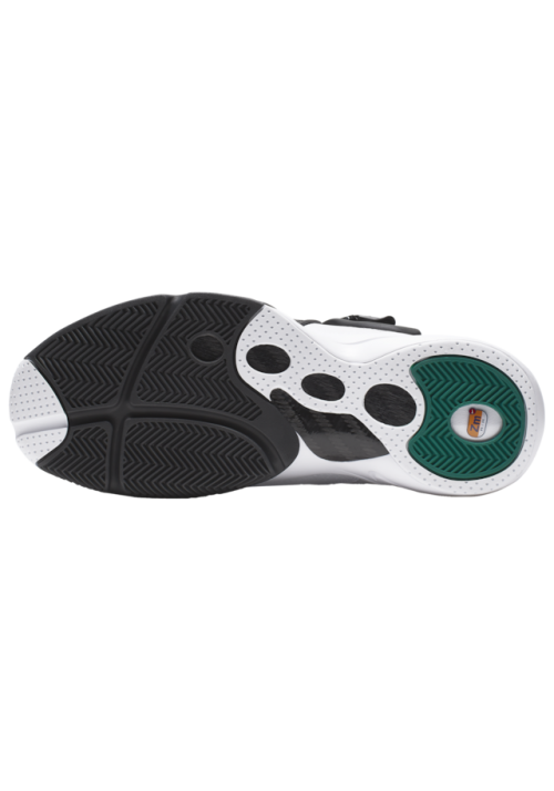 Baskets Nike Zoom GP  Hommes R4342-100