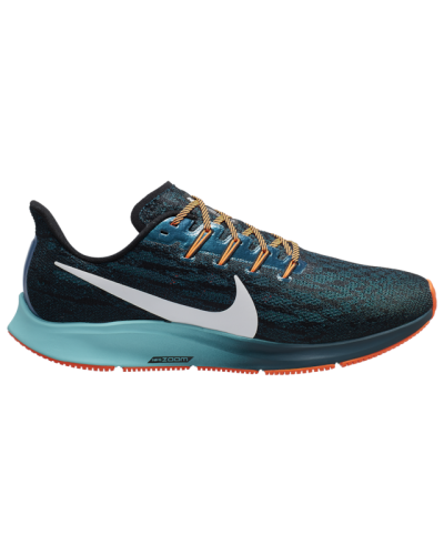 Baskets Nike Air Zoom Pegasus 36  Hommes D4573-001