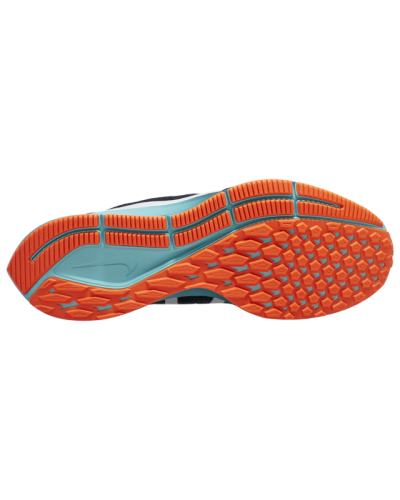 Baskets Nike Air Zoom Pegasus 36  Hommes D4573-001