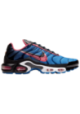 Baskets Nike Air Max Plus  Hommes T1618-400