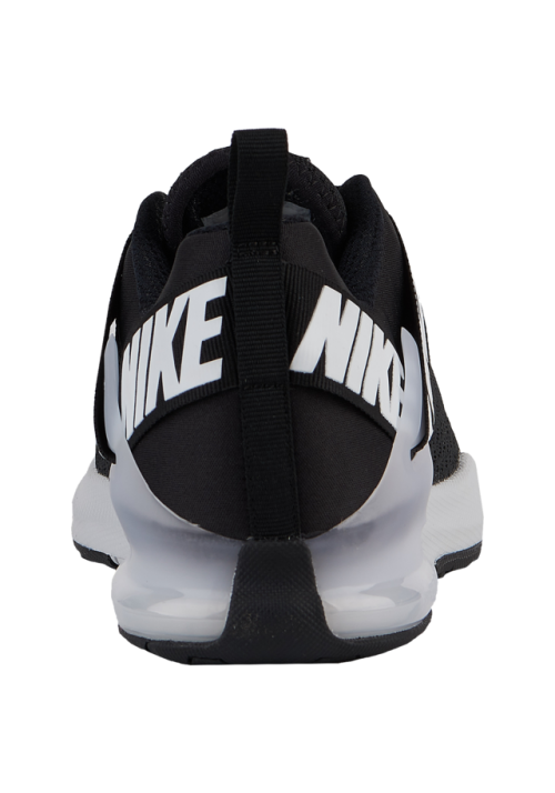 Baskets Nike Zoom Domination Trainer 2  Hommes O4403-001