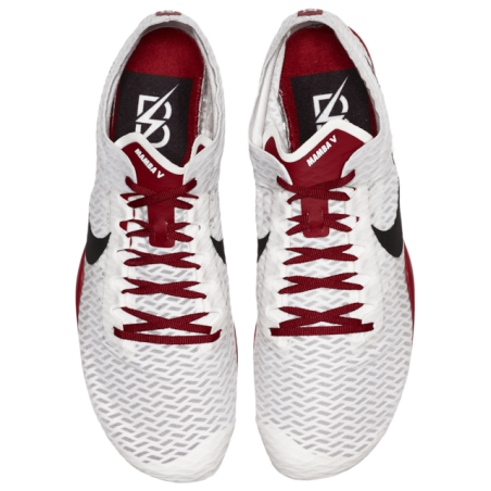 Baskets Nike Zoom Mamba V  Hommes V3158-111