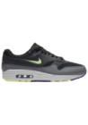 Baskets Nike Air Max 1 Hommes T1624-001