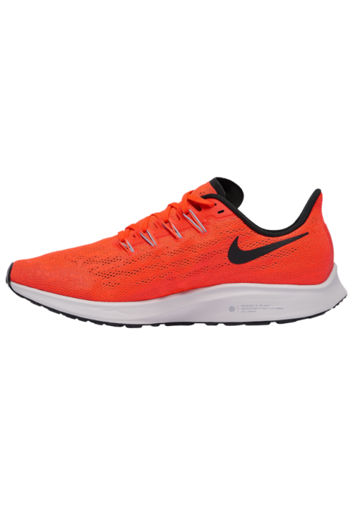 Baskets Nike Air Zoom Pegasus 36  Hommes Q2203-600