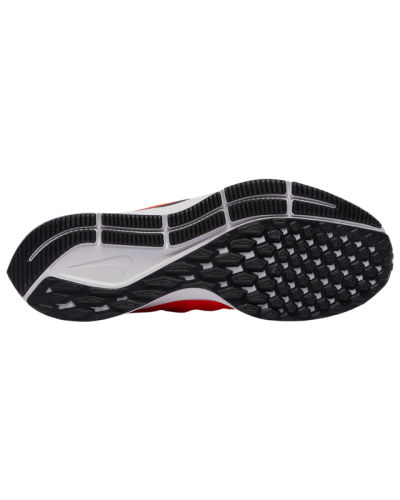 Baskets Nike Air Zoom Pegasus 36  Hommes Q2203-600