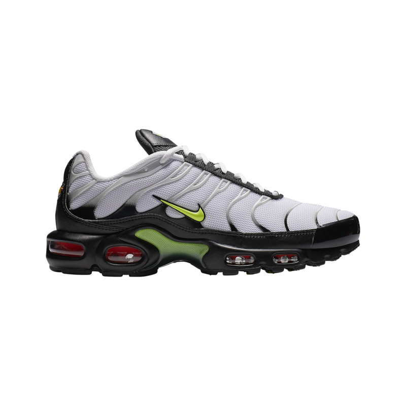 Baskets Nike Air Max Plus  Hommes J2013-100