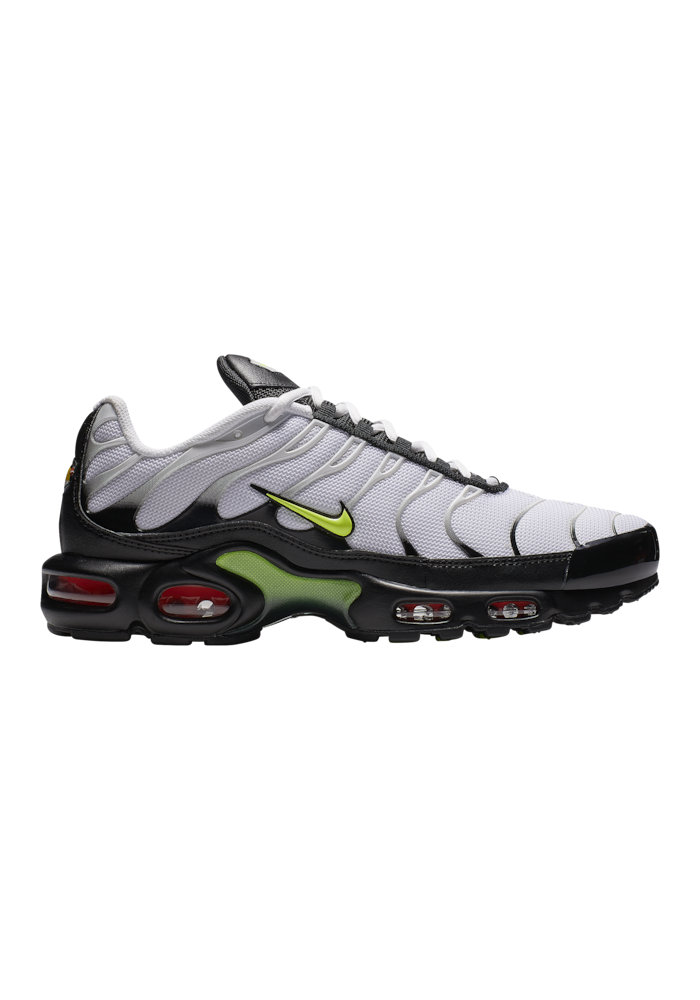 Baskets Nike Air Max Plus Hommes J2013-100