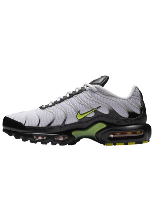 Baskets Nike Air Max Plus  Hommes J2013-100