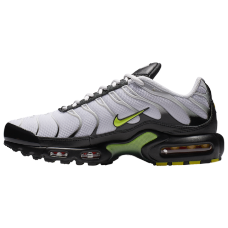 Baskets Nike Air Max Plus  Hommes J2013-100
