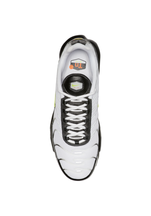Baskets Nike Air Max Plus  Hommes J2013-100