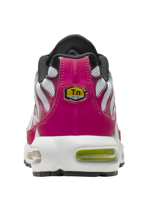 Baskets Nike Air Max Plus  Hommes J9929-100