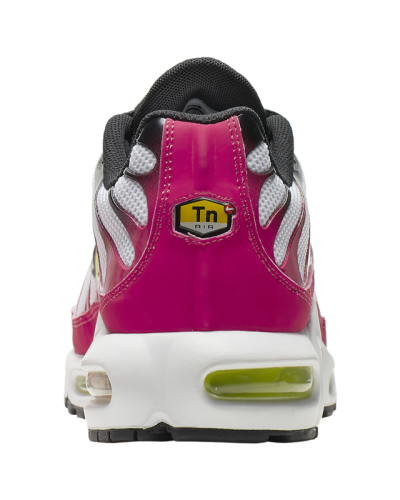 Baskets Nike Air Max Plus  Hommes J9929-100