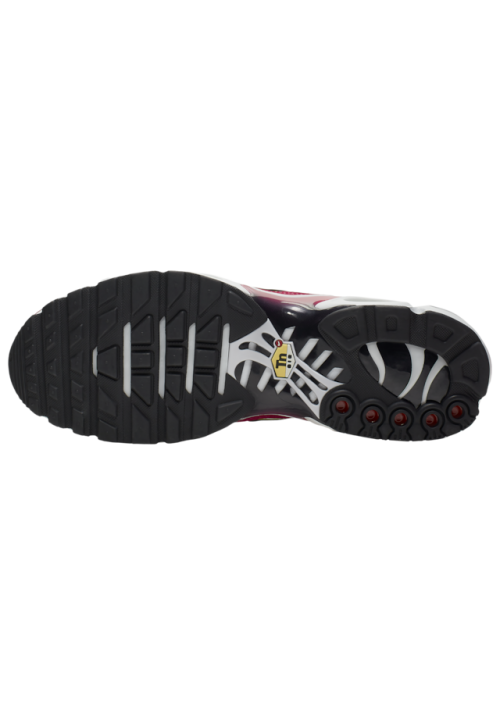 Baskets Nike Air Max Plus  Hommes J9929-100