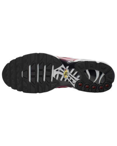 Baskets Nike Air Max Plus  Hommes J9929-100