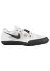 Baskets Nike Zoom SD 4 Hommes 85135-002