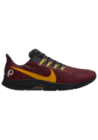Baskets Nike Air Zoom Pegasus 36 NFL Hommes I1945-600