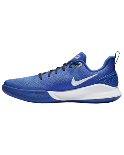 Baskets Nike Mamba Focus  Hommes T1214-400