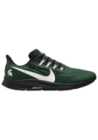 Baskets Nike Air Zoom Pegasus 36 NCAA Hommes I2071-300