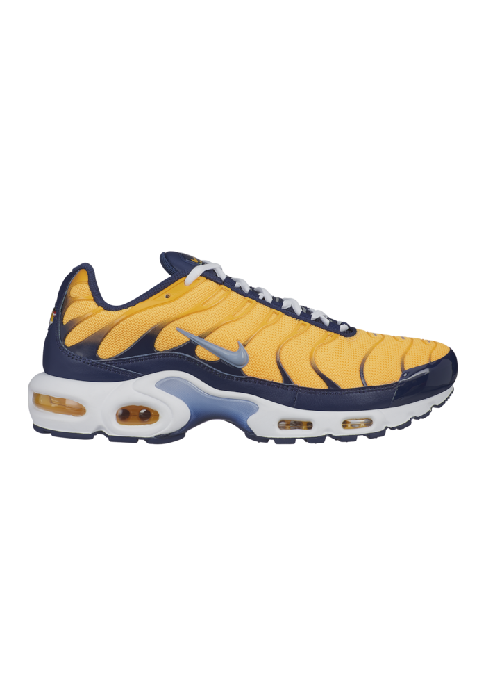 Baskets Nike Air Max Plus Hommes J2013-800